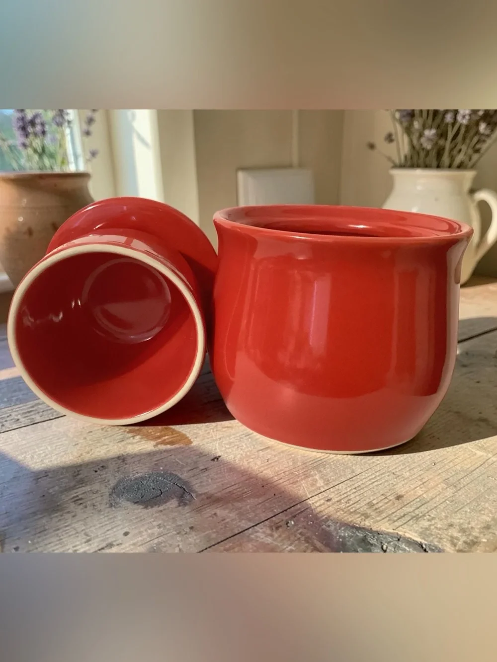 French Butter Crock Style Ceramic • Traditional Water-Seal Butter Keeper